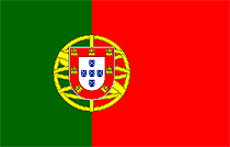 The Portuguese ex​perience