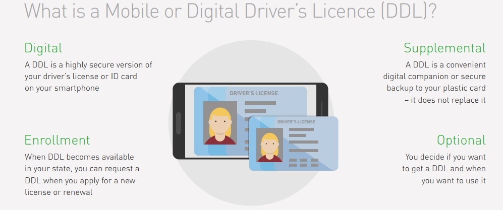 What is a Mobile or Digital Driver's Licence (DDL)?