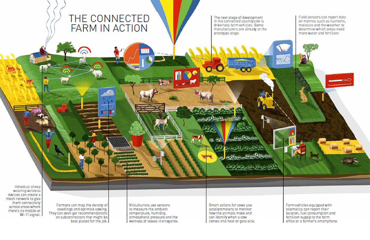 infographic digital farming
