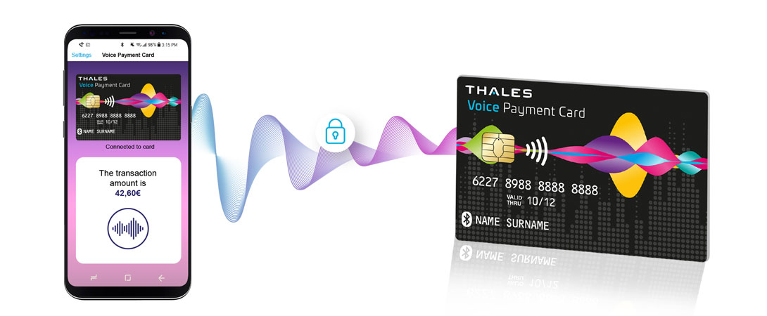 Security and the voice payment card