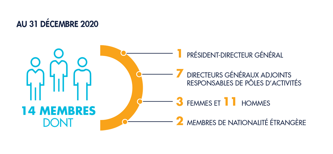 Répartition du comité éxecutif selon genre, nationalité et poles d'activités