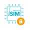 iSIM (Integrated SIM)