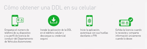 DDL Licencia digital 2.jpeg
