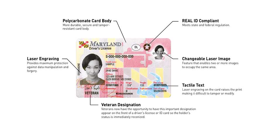 maryland drivers license check