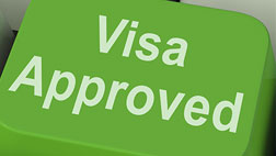 smart visa system