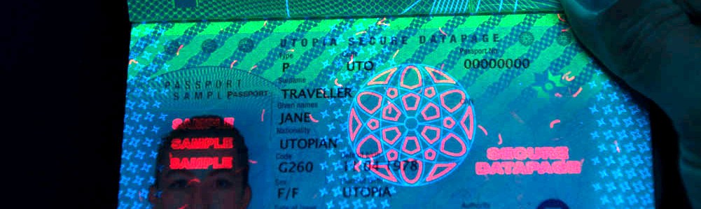 passport fraud