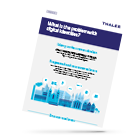 fs-digital-identity-infographic-Problem.png fs-digital-identity-infographic-Problem.png